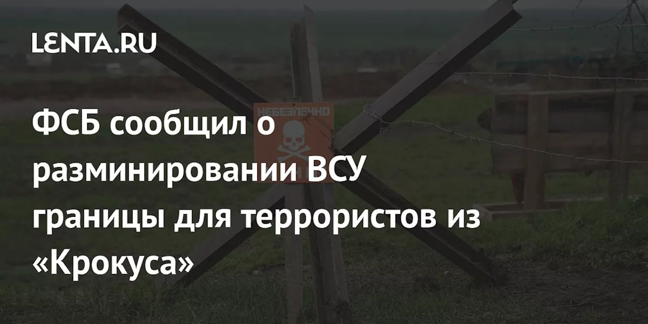 ФСБ сообщил о разминировании ВСУ границы для террористов из «Крокуса»