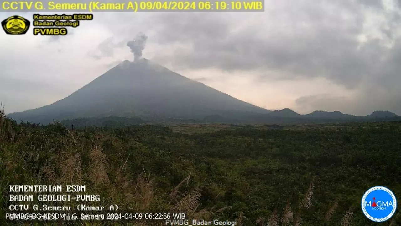 Gunung Semeru Erupsi, Semburkan Abu Vulkanik Setinggi 1.000 Meter