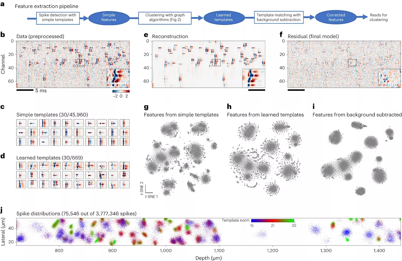 Neuroscientists release state-of-the-art spike-sorting software