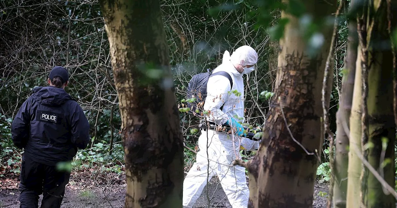 Murder Investigation Launched After Human Remains Found at Nature Reserve