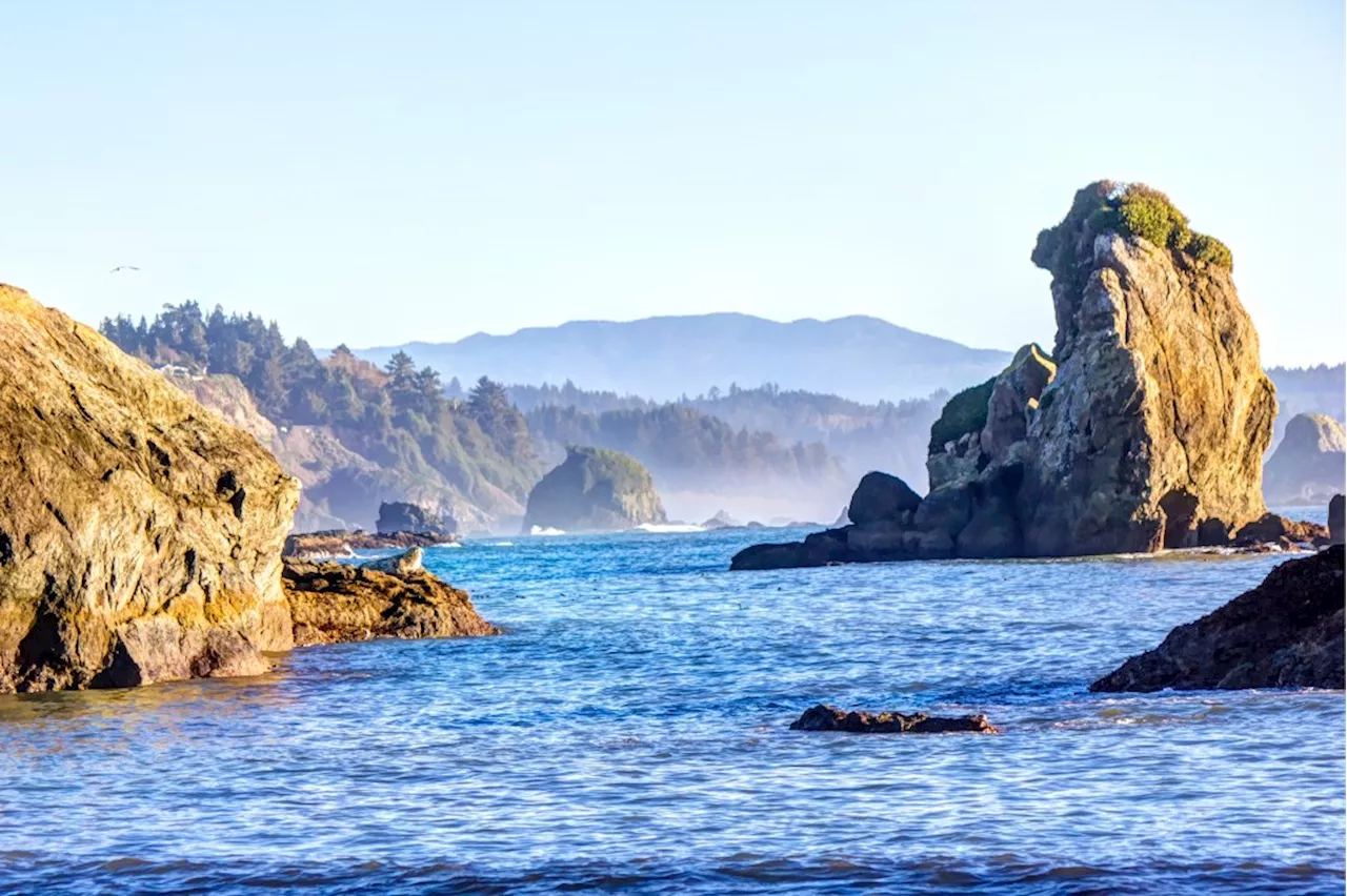 Weekend getaway: California’s northern coast offers redwoods, rugged coastlines and more