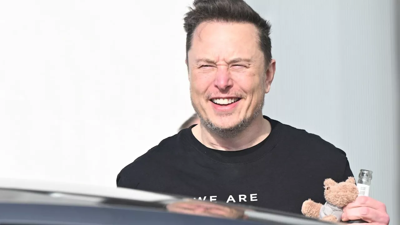 Brasiliens Justiz leitet Ermittlung gegen Musk ein