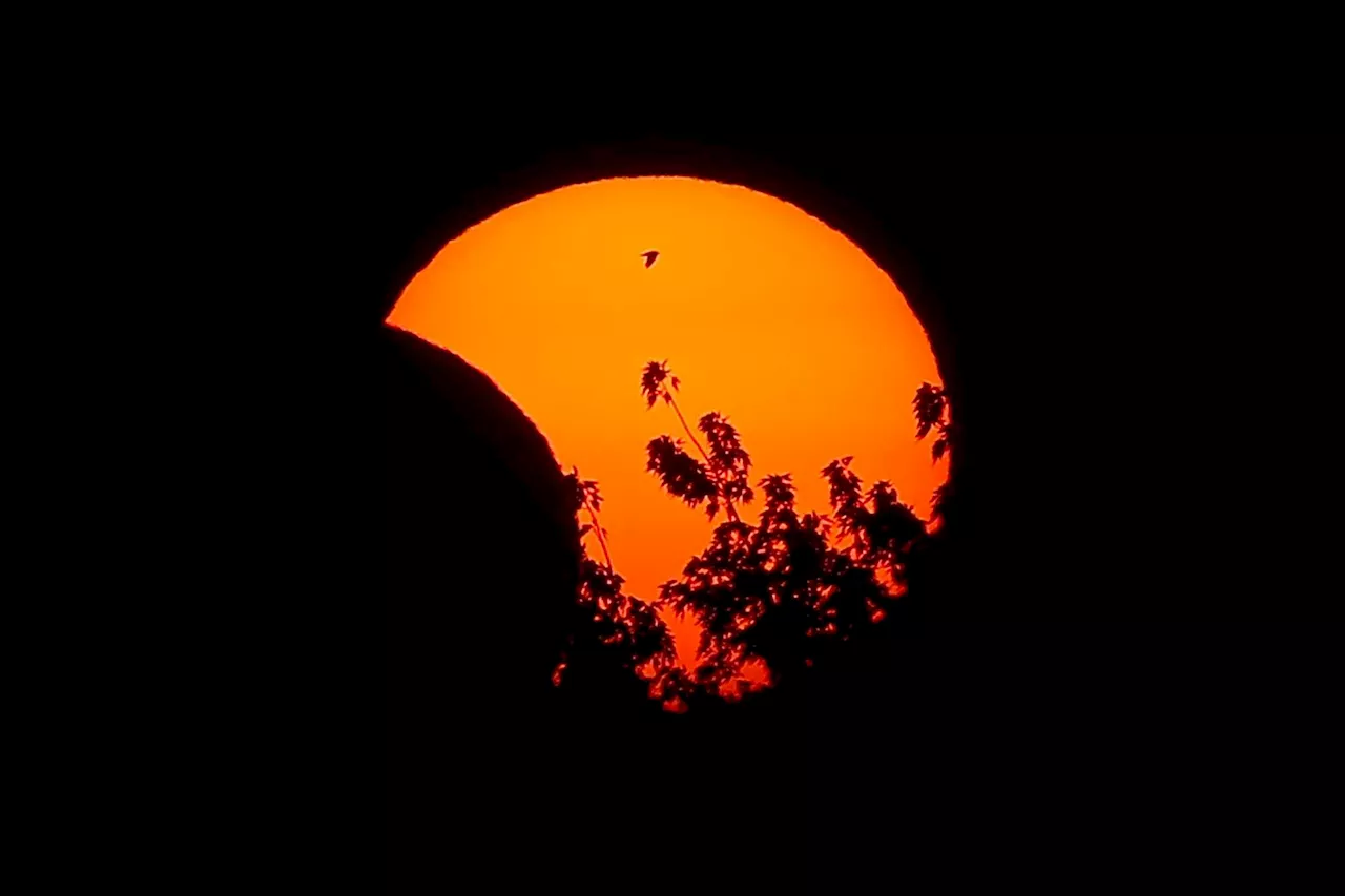 ‘Rotten’ day for a solar eclipse - But there's still hope the clouds may clear