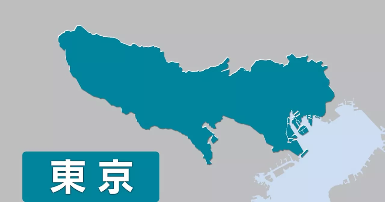 東京15区補選、各党の思惑交錯 乙武氏は無所属出馬へ