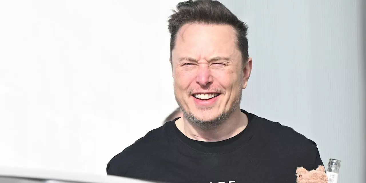 Brasiliens Justiz leitet Ermittlung gegen Musk ein