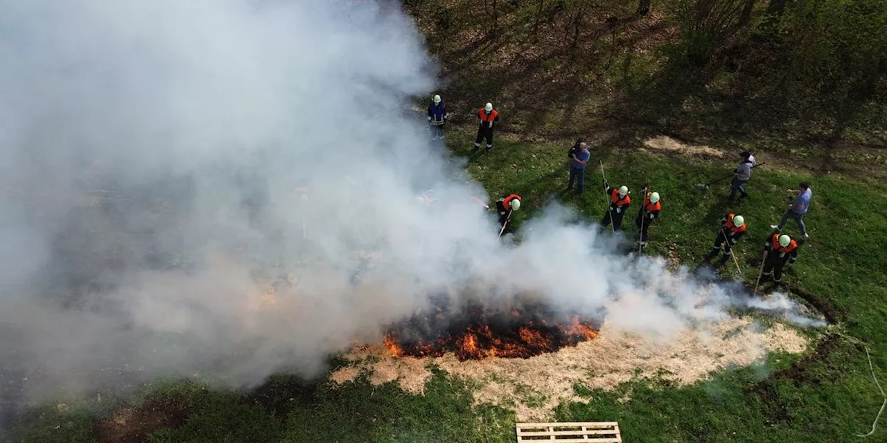 Steigende Temperaturen und Waldbrandgefahr: 'Hauptursache ist der Mensch'