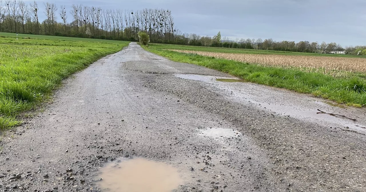 CDU Bad Oeynhausen will Feldweg für Eltern-Taxis ausbauen