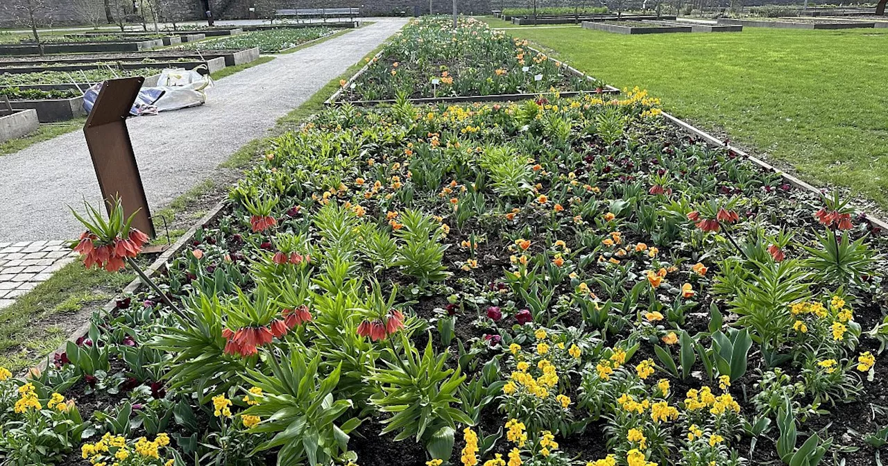 Ex-Landesgartenschauen in Höxter und der Region: So werden die Flächen heute genutzt