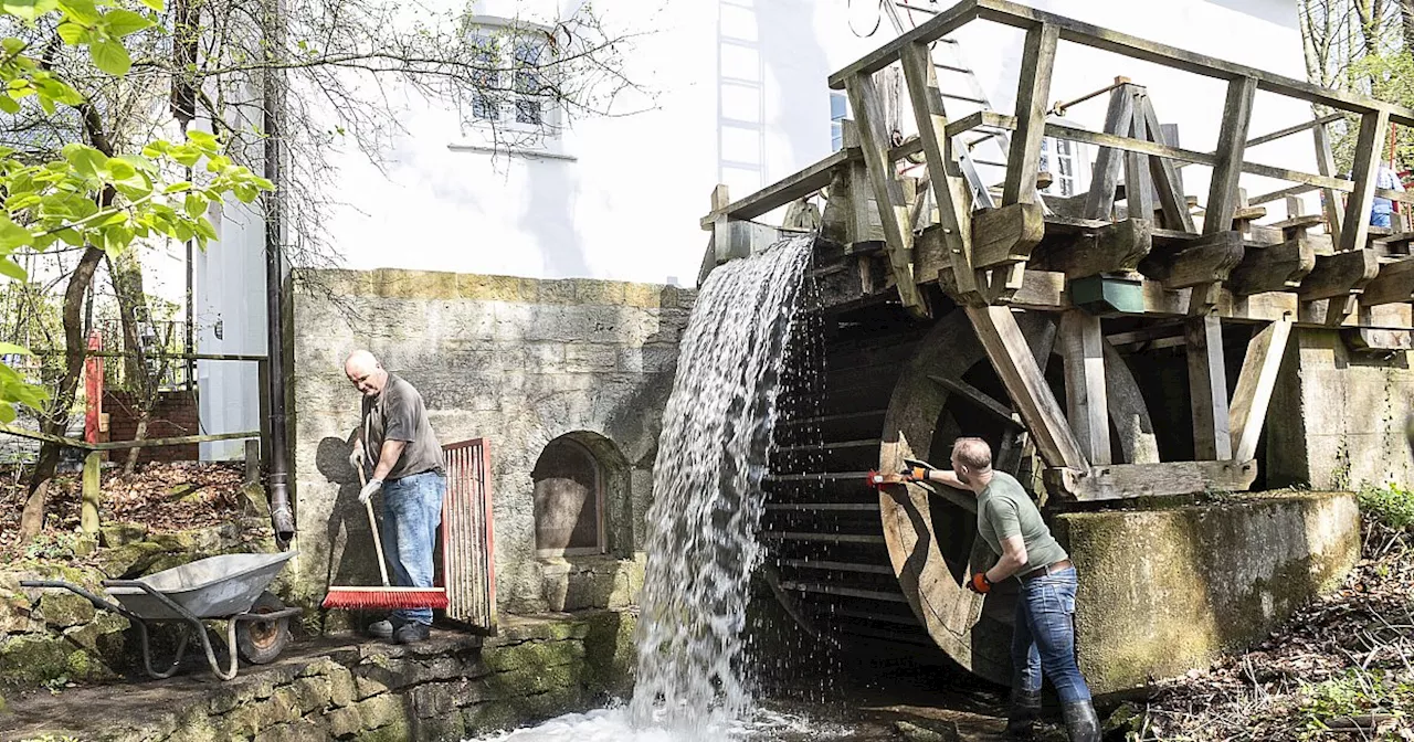 Ungewöhnlicher Frühjahrsputz in Bielefelder Wassermühle