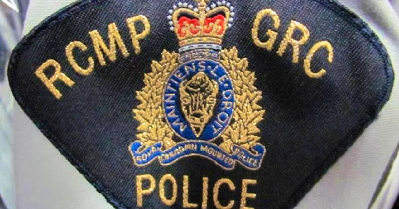 Bonavista RCMP arrest alleged drive-by slingshot vandal