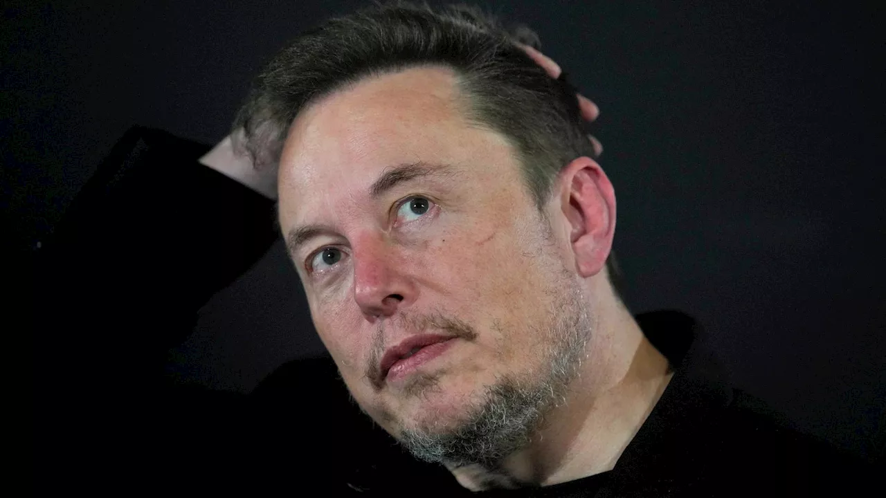 Elon Musk investigated by Brazilian supreme court judge after allegedly waging public 'disinformation campaign'