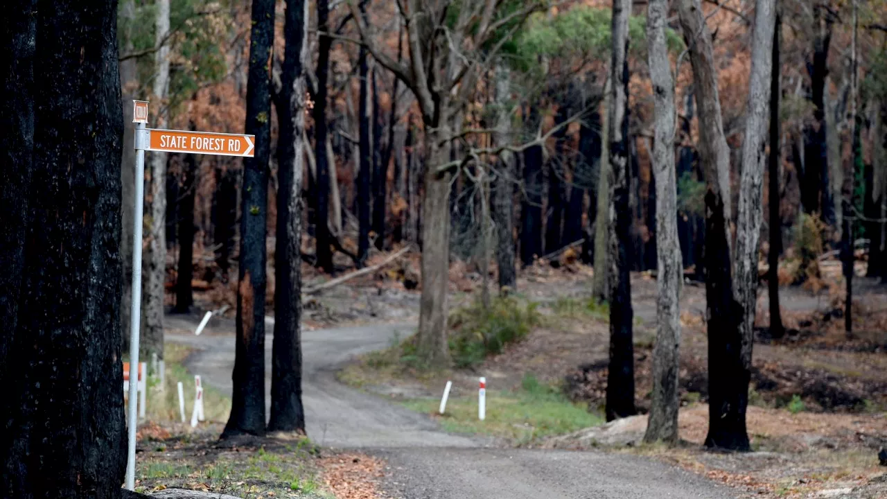 Charges laid over alleged bushland murder of ‘selfless’ Hannah McGuire