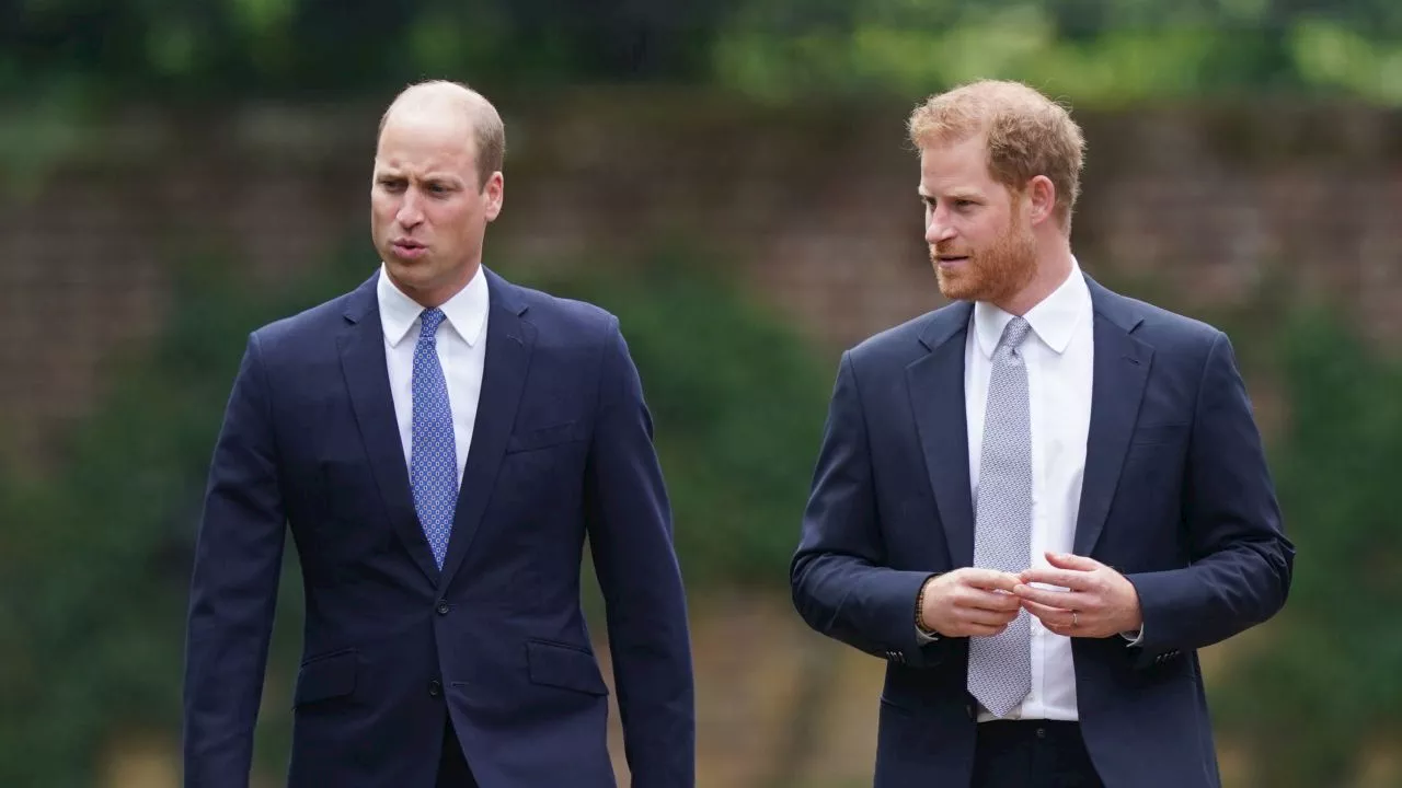 ‘Meghan has the say’: How Prince Harry could reconcile with William