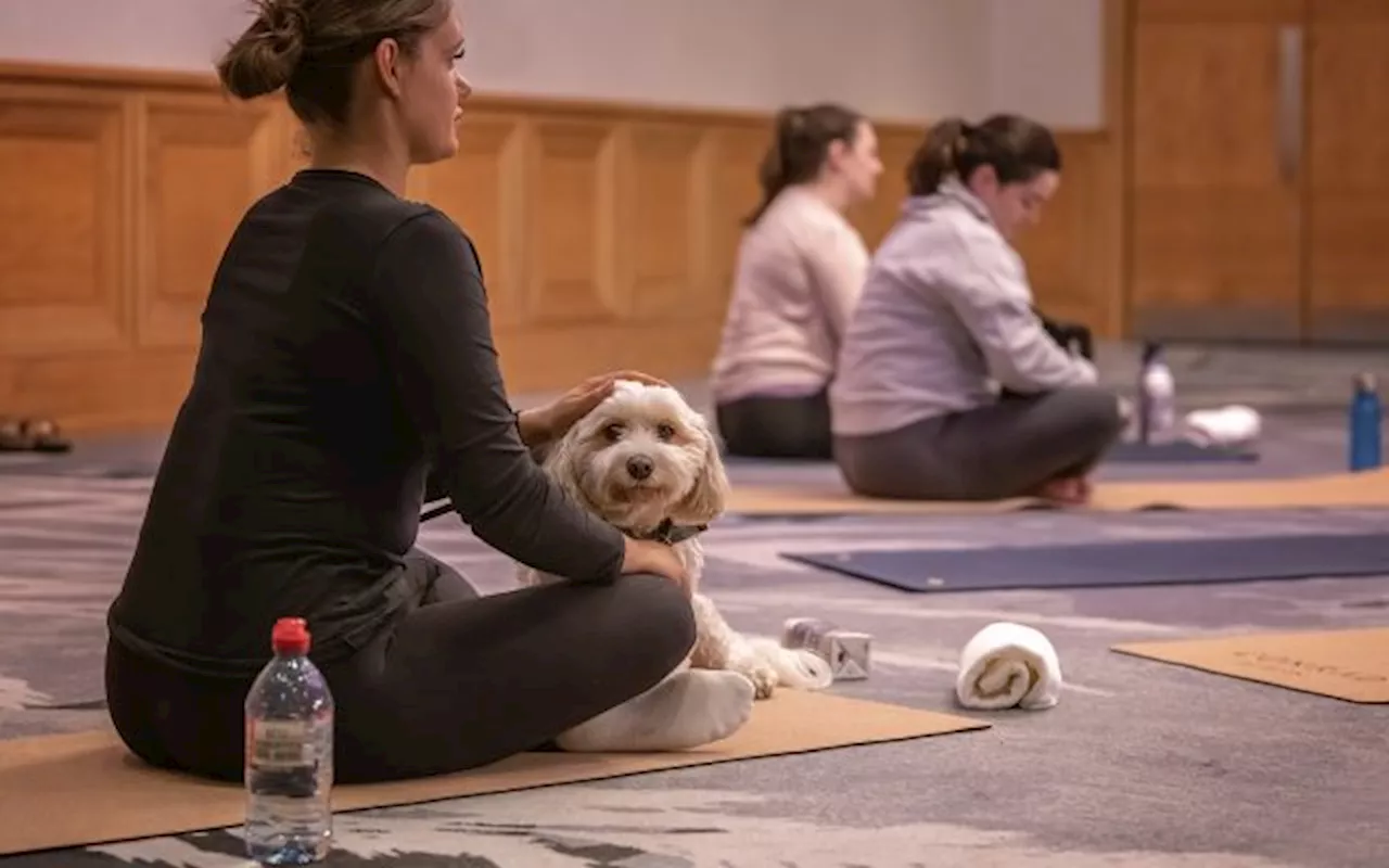 Joanne King: Leading Doggy Yoga Classes