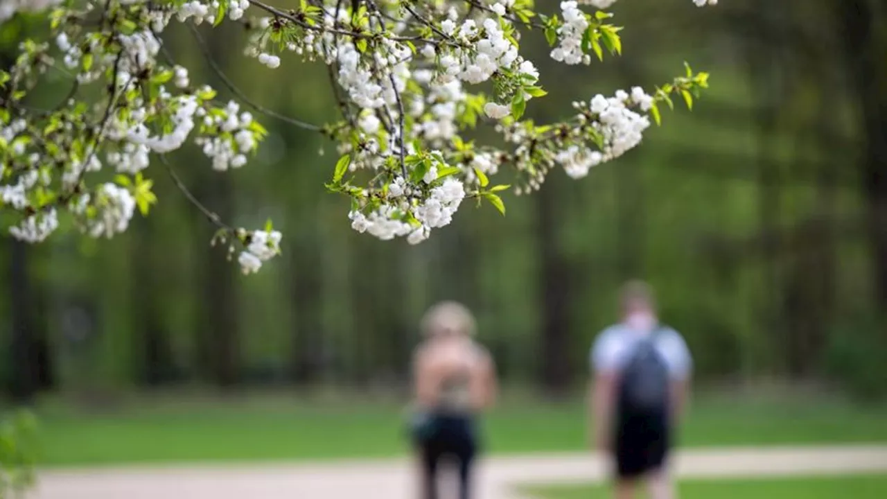 Frühling: Wetter in Berlin und Brandenburg bleibt sommerlich