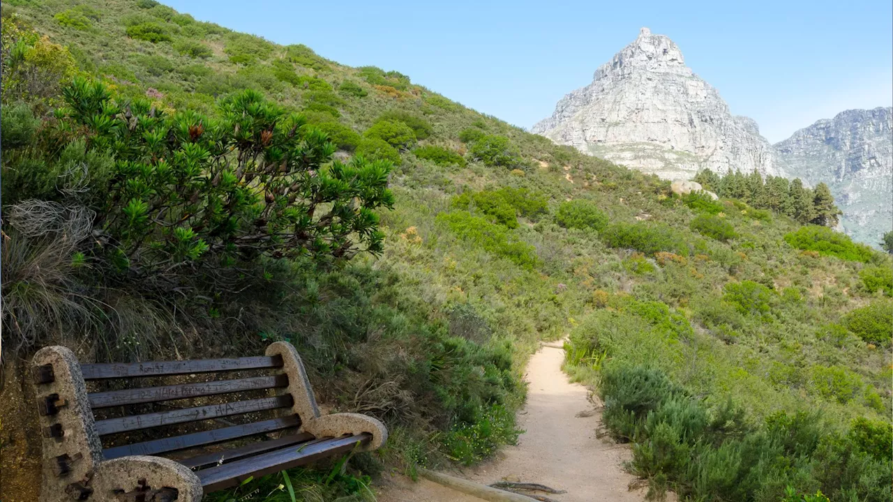  Cape Town storms: Cape Point open, Lion’s Head trails closed