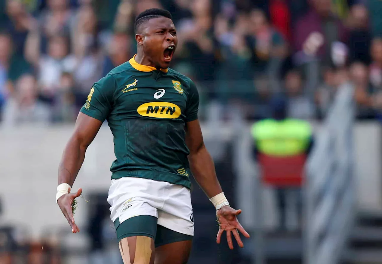 Former Springbok wing Aphiwe Dyantyi's rise to stardom