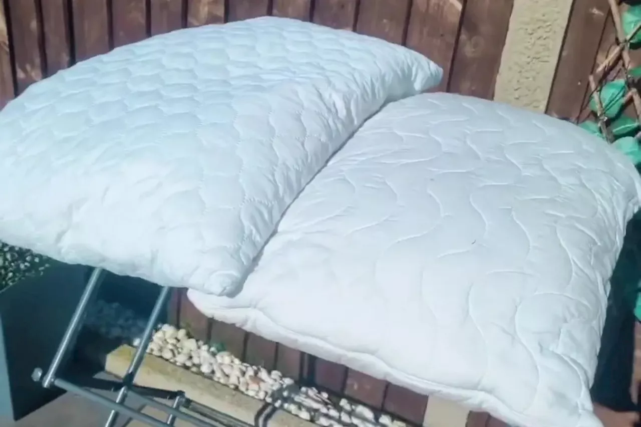 Genius Hack to Get Rid of Bacteria and Dust Mites from Pillows