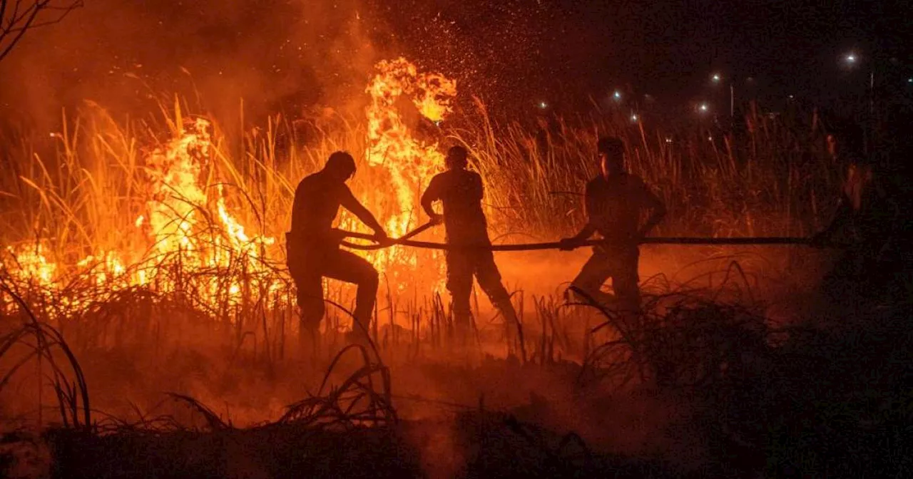 East Kalimantan continues to fight potential occurrence of wildfires