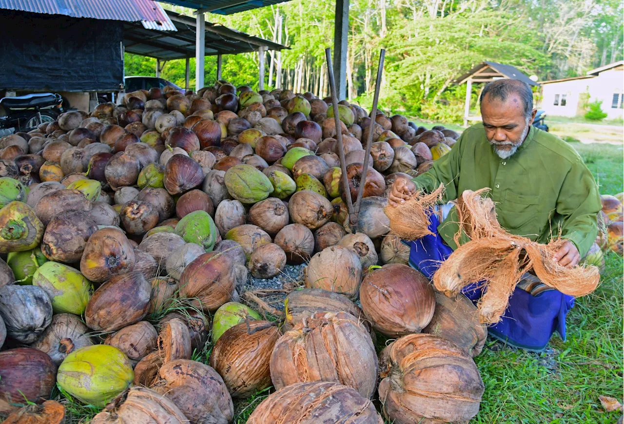 High Demand for Coconut Milk in Padang Besar Ahead of Aidilfitri Celebration