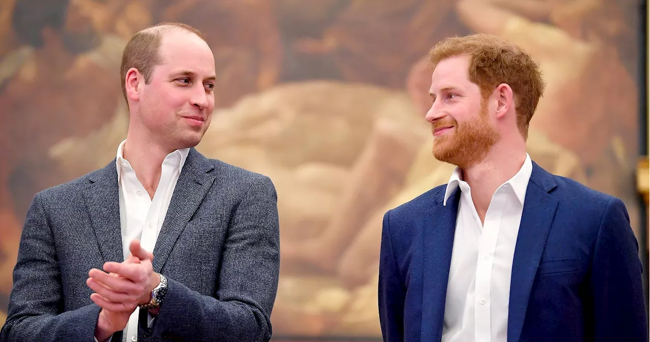 Will Prince Harry, Prince William Reunite at Upcoming Royal Wedding?