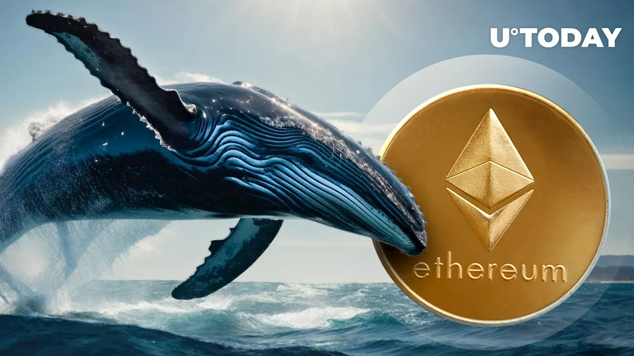 Ethereum Whales Rack up $40 Million in ETH as Price Rebounds