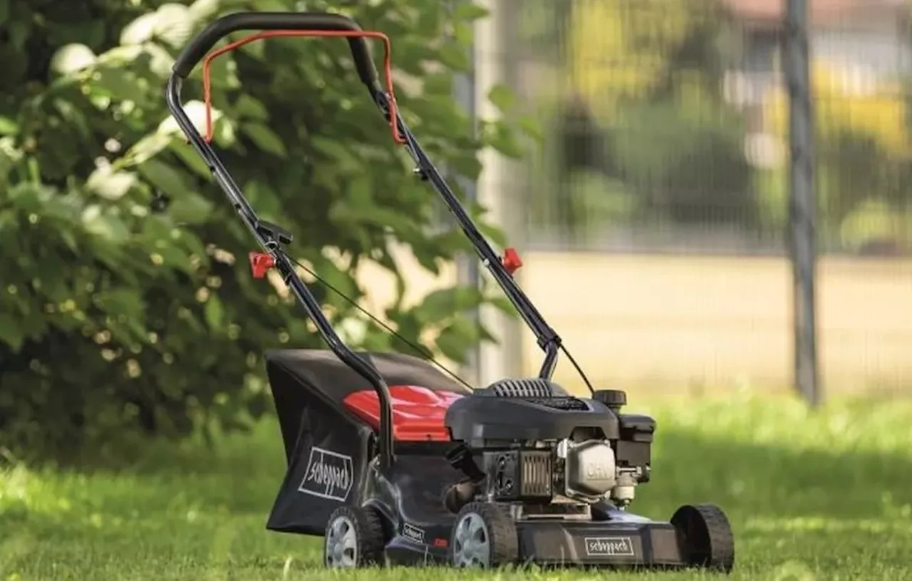 Facilitez-vous la vie avec cette tondeuse thermique Scheppach à moins de 130 euros