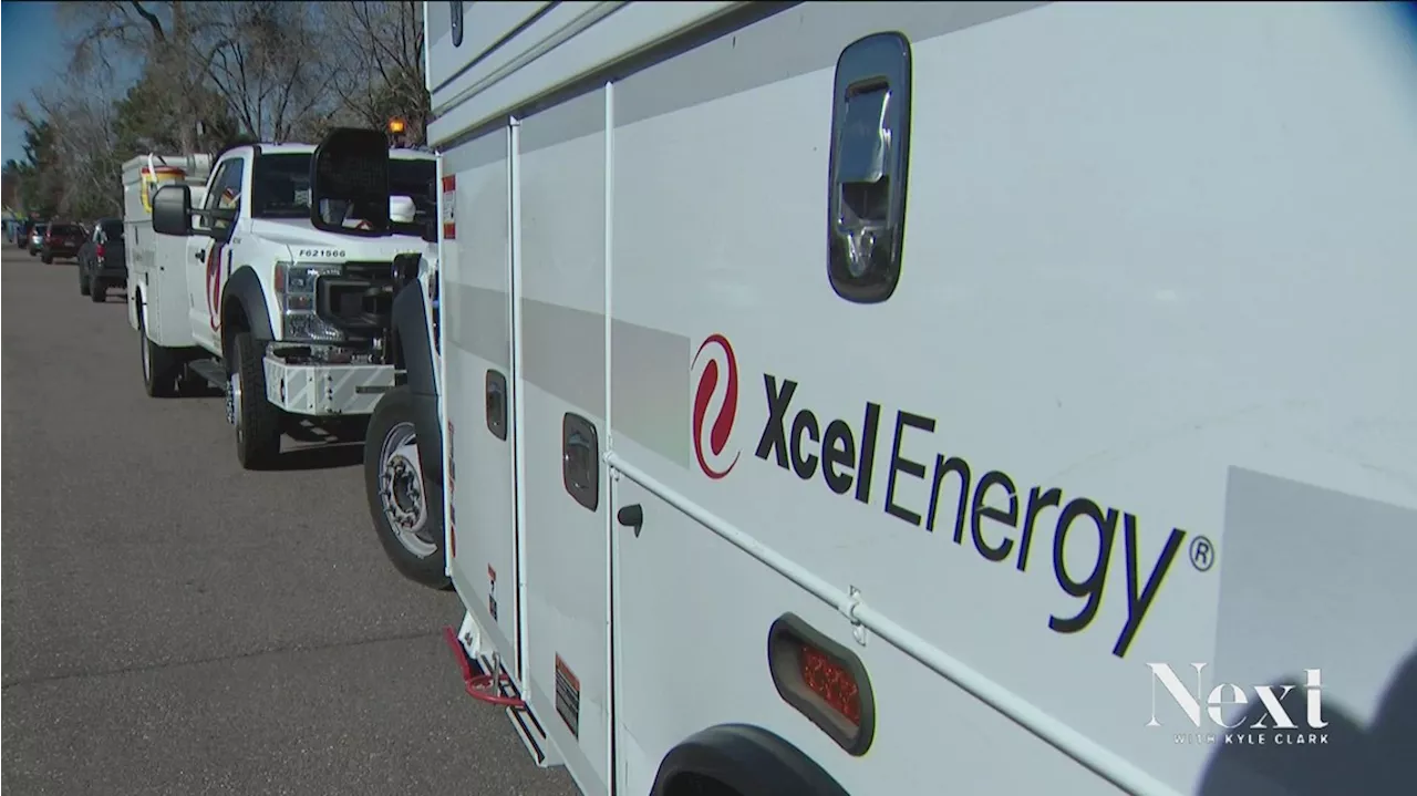 Xcel Energy CEO speaks out on company's response to windstorm