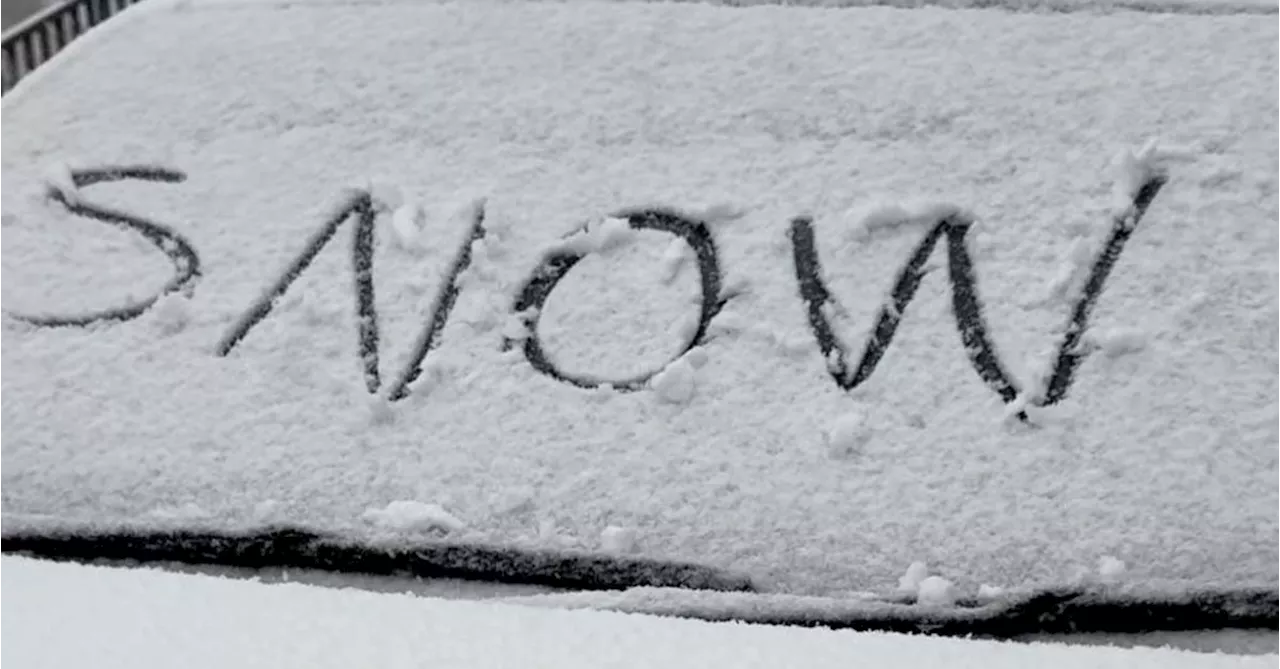 First snow falls on ski fields almost eight weeks ahead of winter