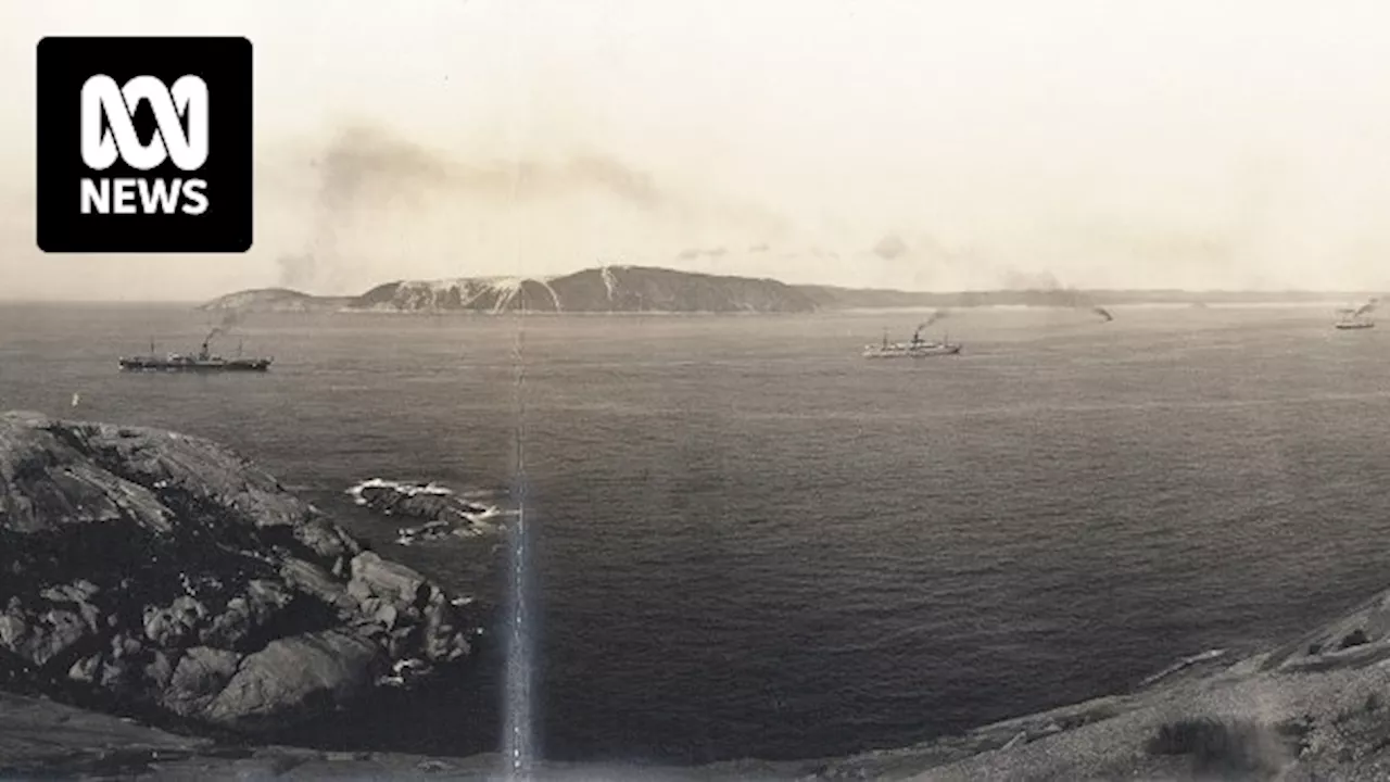 National Archives of Australia restores panoramas of Australian life in early 20th century