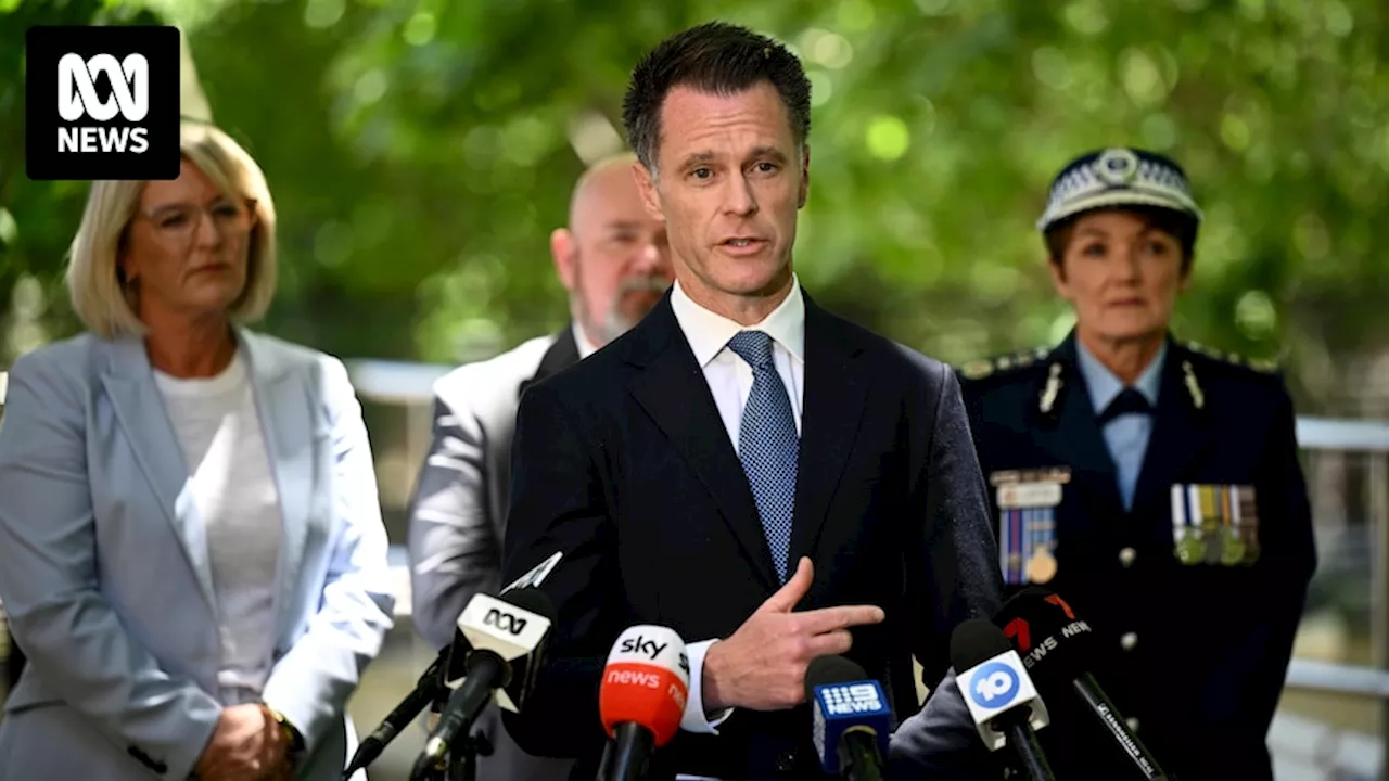 NSW Premier Chris Minns announces review into termination payouts after almost $690,000 handed to police media advisers