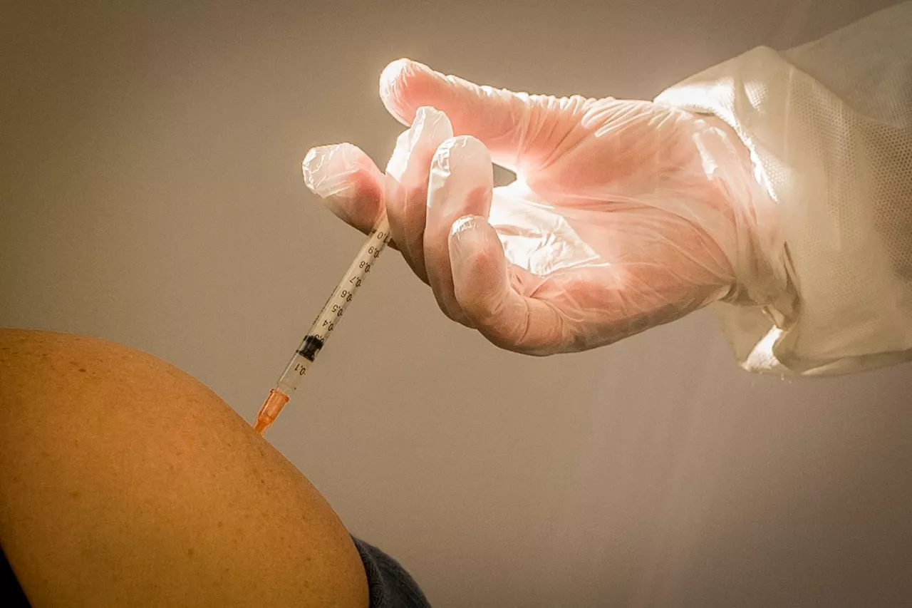 Vaccini, Rizzo (UniPi): 'Rischio più elevato di polmonite invasiva in bimbi e over 65'