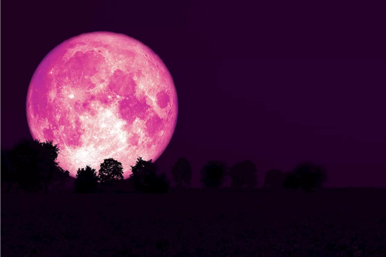 Dazzling full pink moon to illuminate Metro Vancouver skies this April