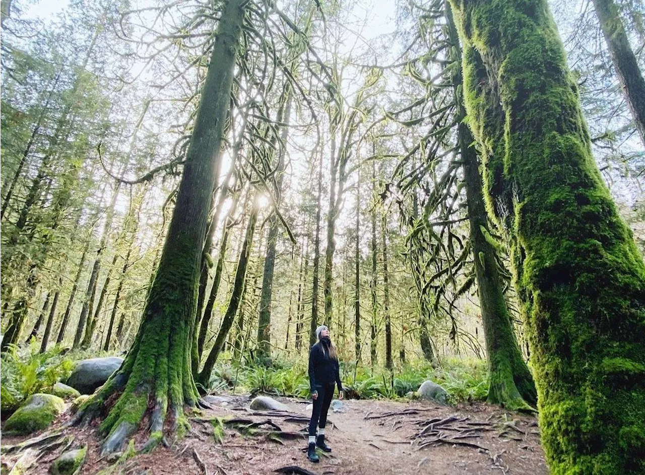 Heart patients in green environments live longer, finds B.C. scientist