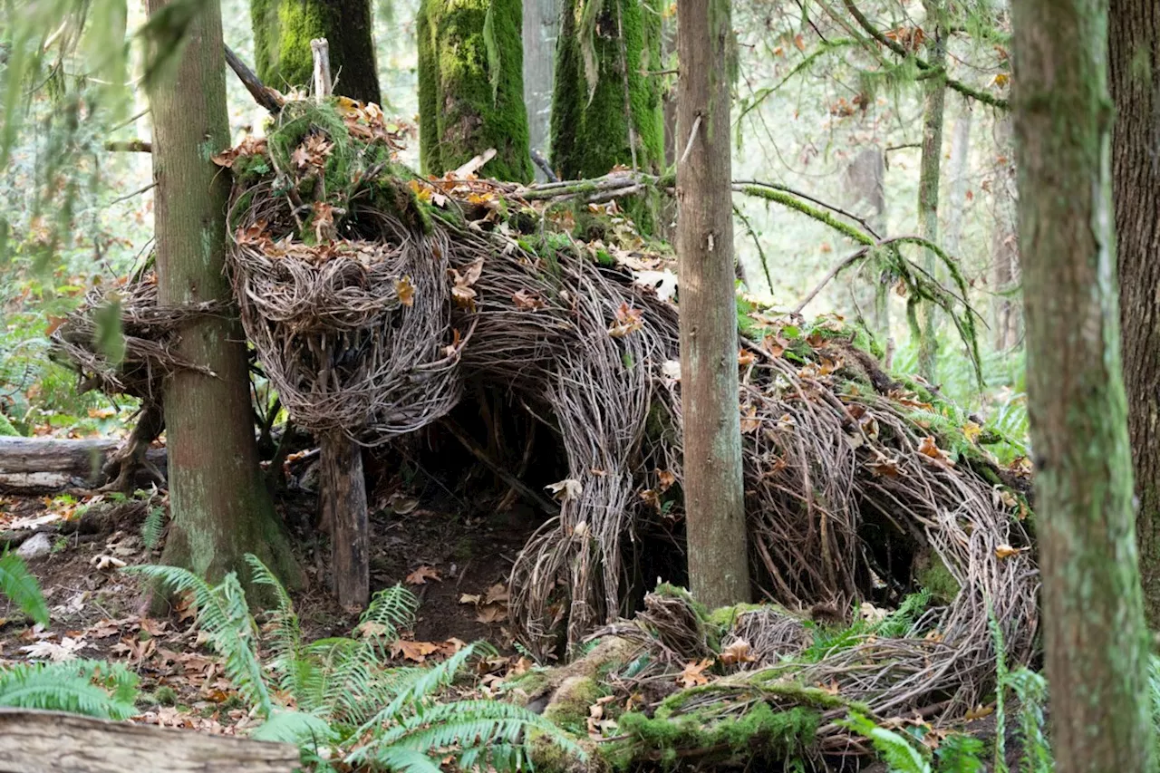 This Port Coquitlam park will soon have whimsical eco-sculptures