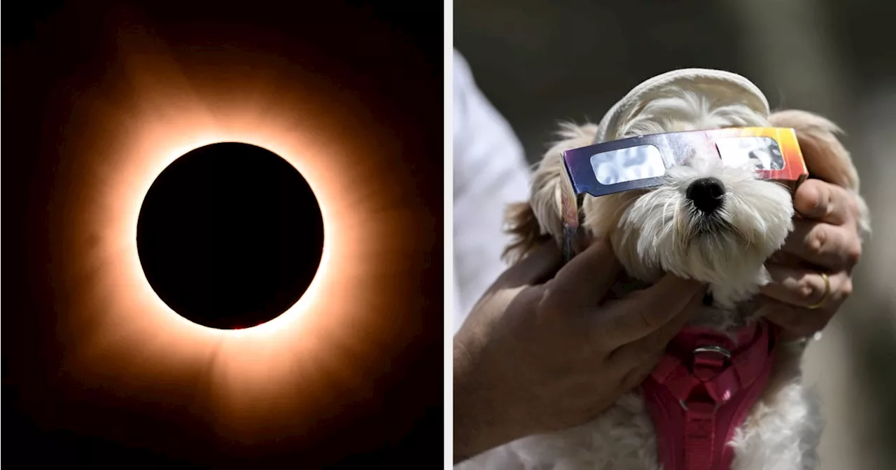 Millions of People Witness Rare Total Solar Eclipse