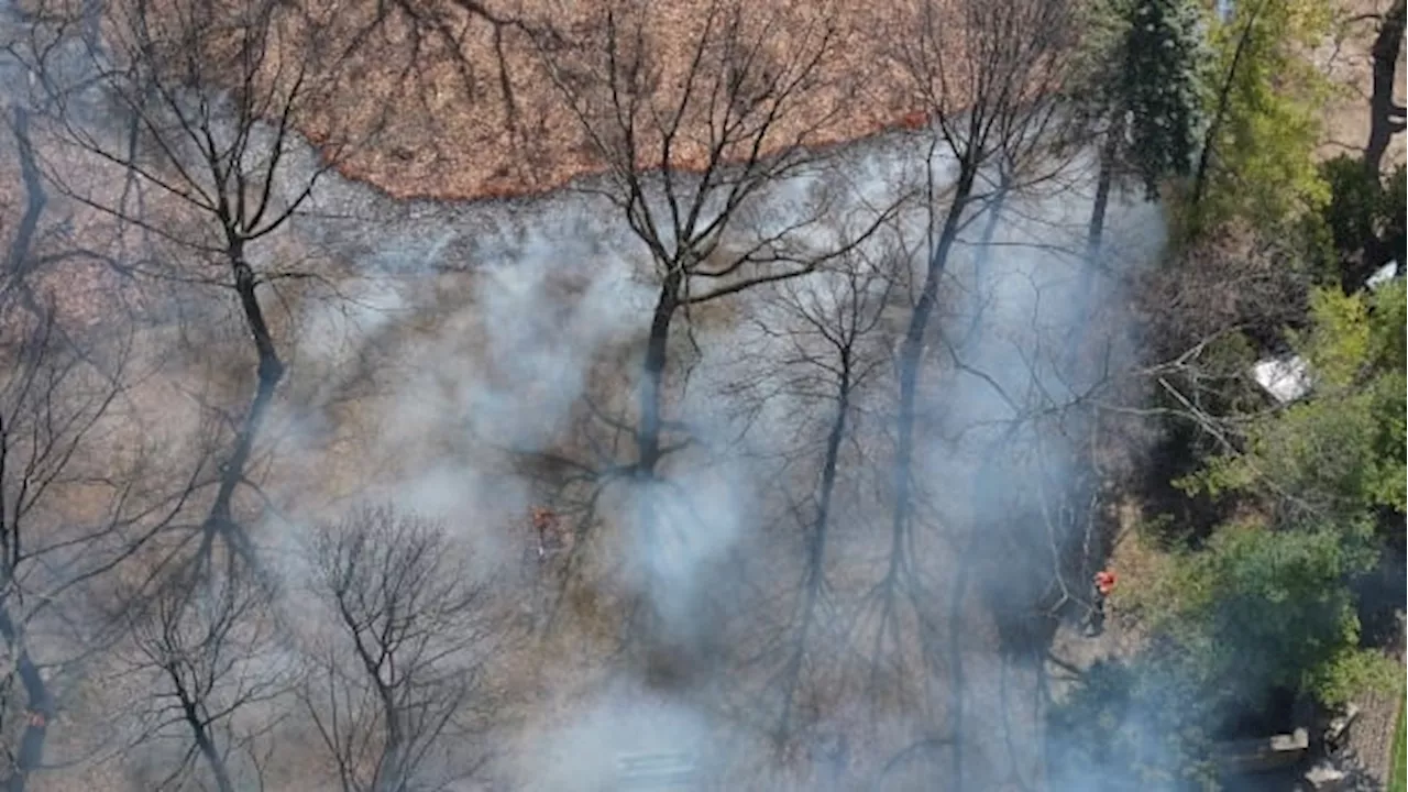 Fire crews carry out 'traditional and prescribed' burn in High Park