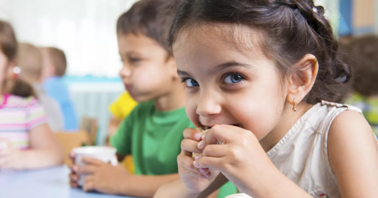 Lunchables have concerning levels of lead and sodium, Consumer Reports finds