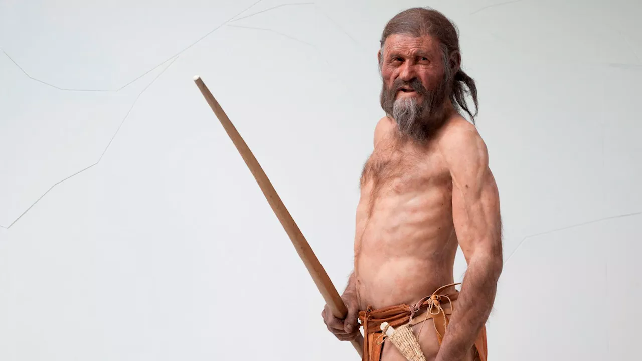 Los 61 tatuajes de Ötzi, el Hombre de Hielo, no se hicieron como los arqueólogos creían en un principio