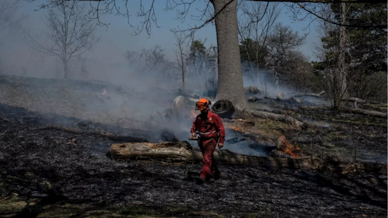 High Park burn taking place in Toronto