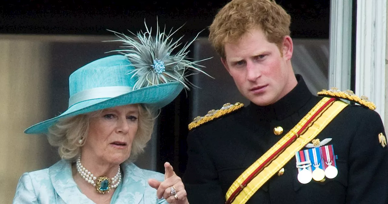 Prince Harry's desperate plea to King Charles about Camilla before they wed