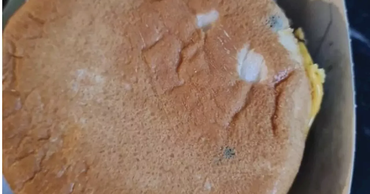 Raging mum slams McDonald's after spending £30 to find mould on burgers