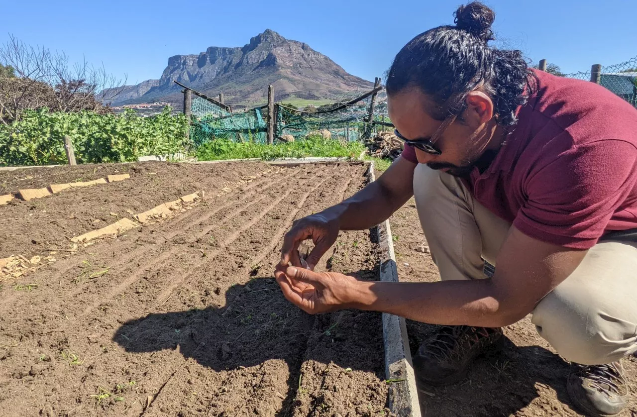 Community pleads for preservation as Western Cape government eyes Oude Molen Eco Village