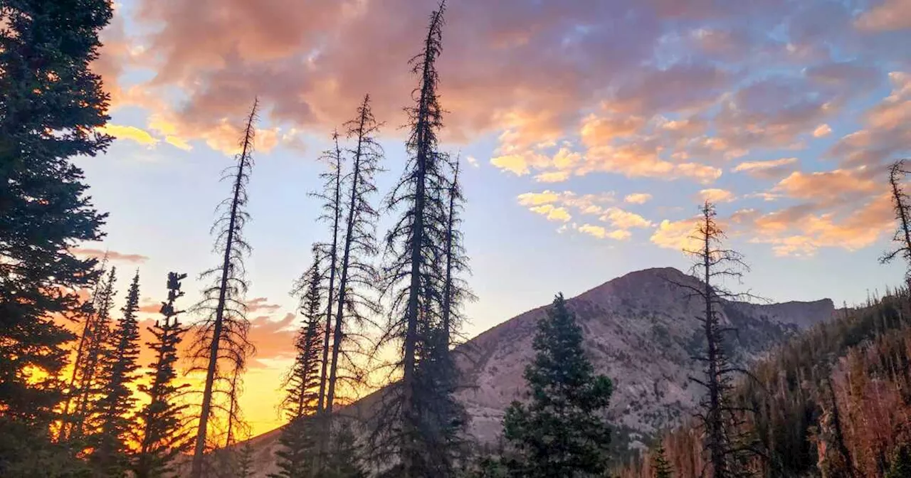 A gorgeous spring day across Colorado Tuesday