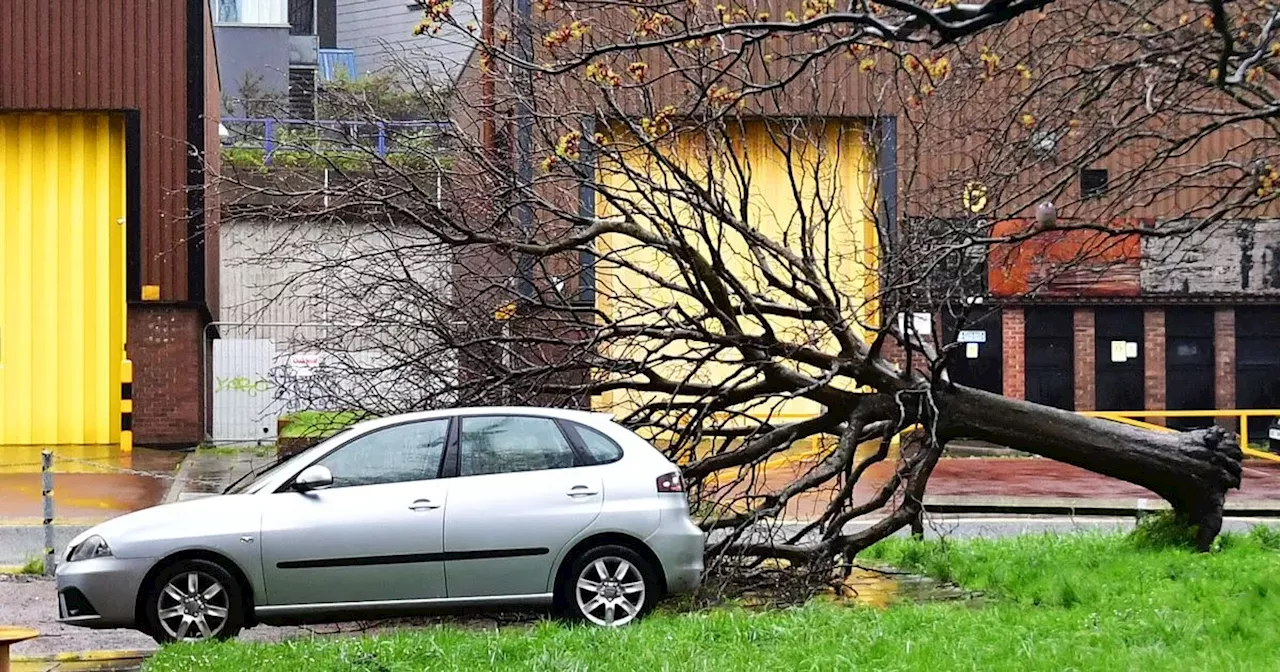 Day of chaos on Merseyside after severe winds and torrential rain