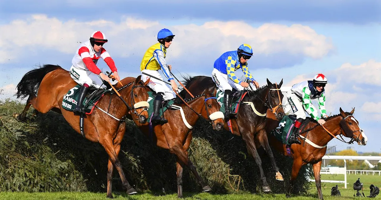 Grand National horse numbers that are lucky and unlucky for 2024