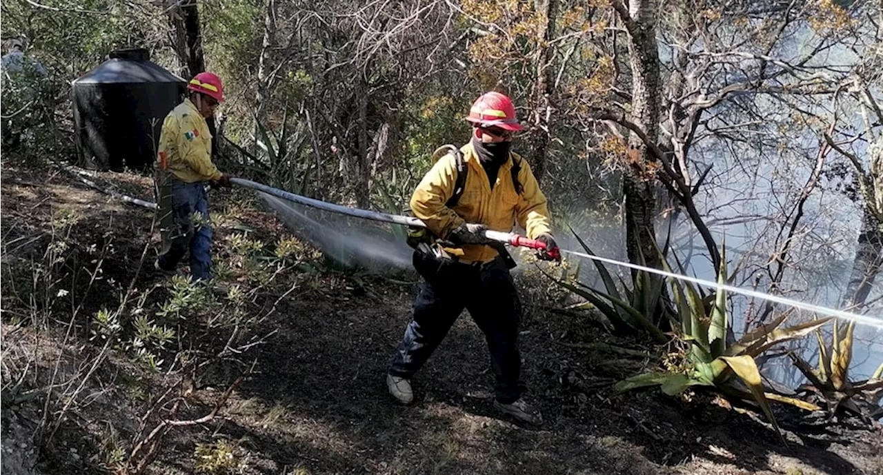 Extinguen incendios forestales en El Mante y Miquihuana, Tamaulipas