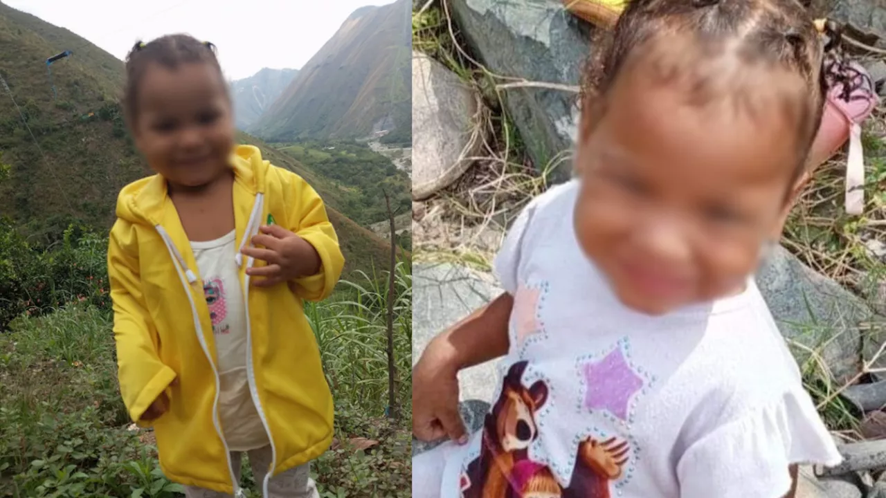 Desaparece una niña de dos años en Tolima