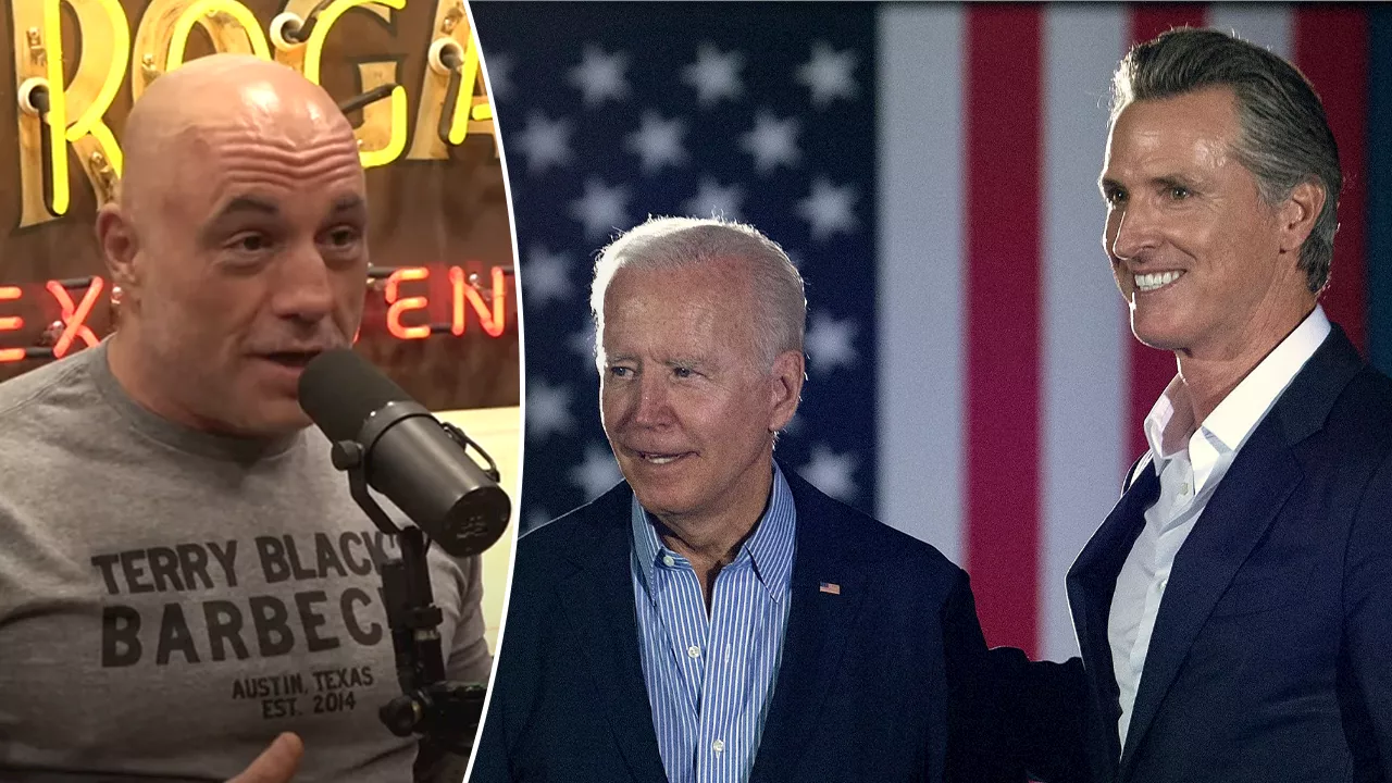 Joe Rogan and Andrew Schulz Speculate on Democratic Party's Plans for President Biden