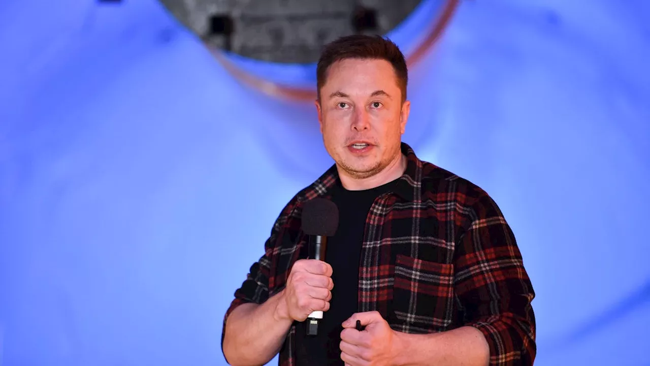 Elon Musk's Deposition Reveals Strange Alternate X Accounts